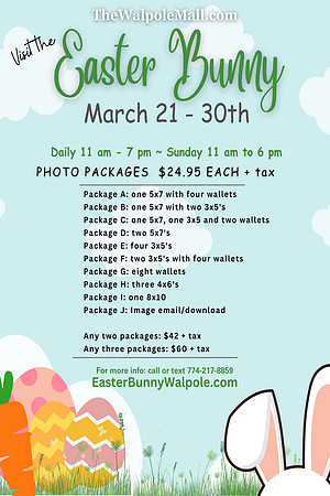 Walpole Mall Easter Bunny 2024